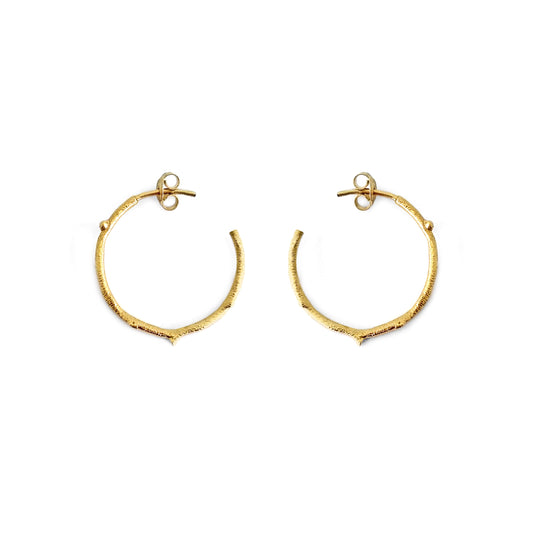 14K 9K Solid Gold Twig Branch Open Hoop Earrings